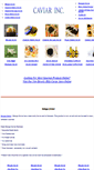 Mobile Screenshot of caviarinc.com